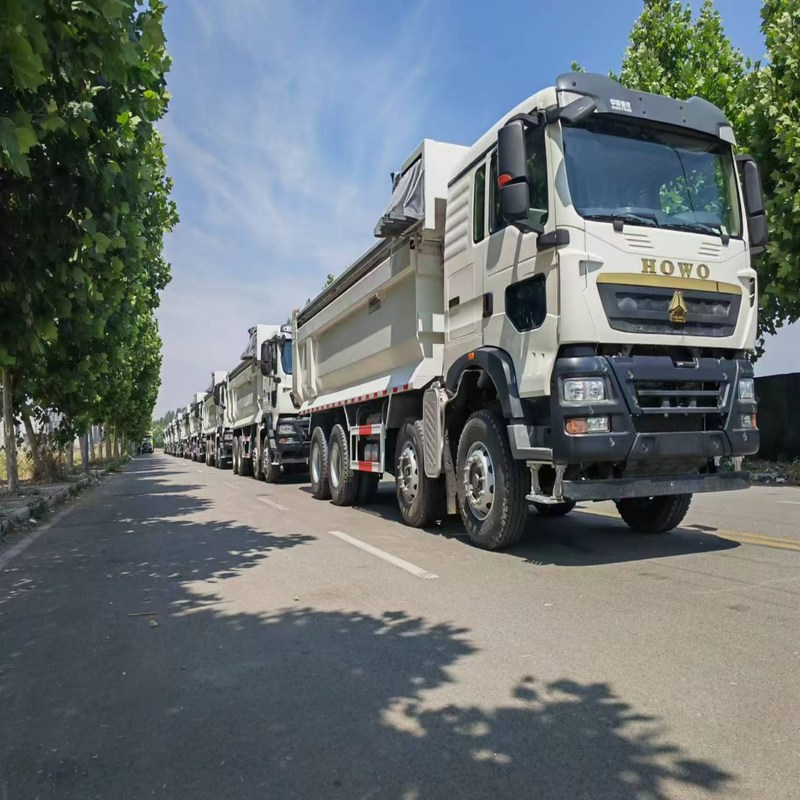 Gebrauchtes Müllfahrzeug Howo TX Sinotruk Howo 8x4 Kipper 12 Räder Manuell Diesel