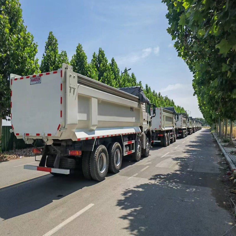 Gebrauchtes Müllfahrzeug Howo TX Sinotruk Howo 8x4 Kipper 12 Räder Manuell Diesel