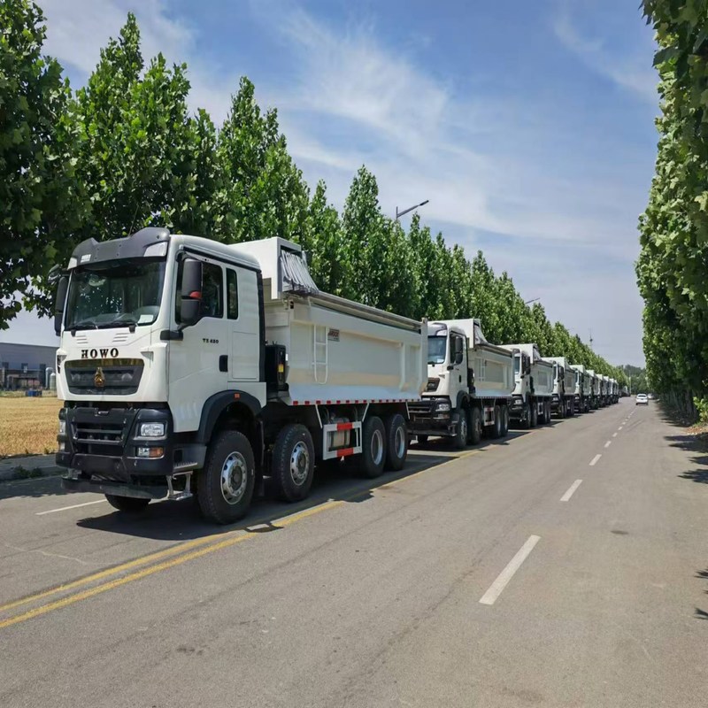 Gebrauchtes Müllfahrzeug Howo TX Sinotruk Howo 8x4 Kipper 12 Räder Manuell Diesel