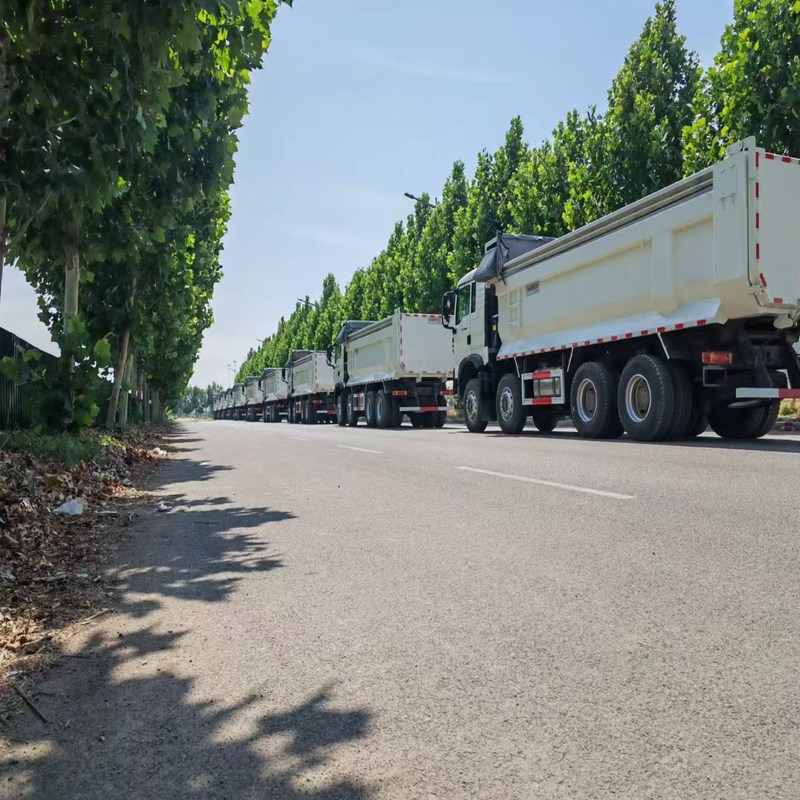 Gebrauchtes Müllfahrzeug Howo TX Sinotruk Howo 8x4 Kipper 12 Räder Manuell Diesel